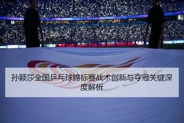 孙颖莎全国乒乓球锦标赛战术创新与夺冠关键深度解析